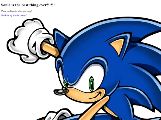 sitever1 screenshot