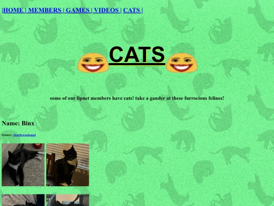 cats screenshot