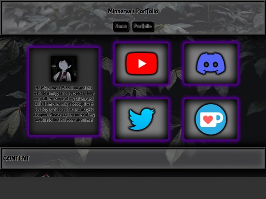 Copyable screenshot