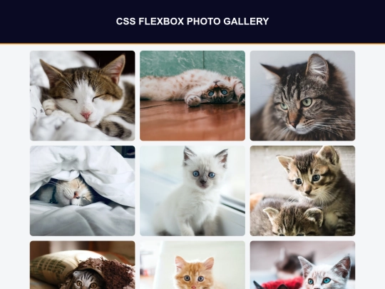 practice/flexbox/gallery screenshot