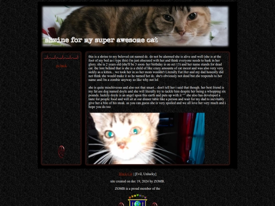 cat screenshot
