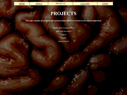 project/project screenshot