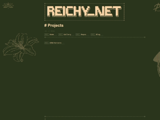 projects screenshot