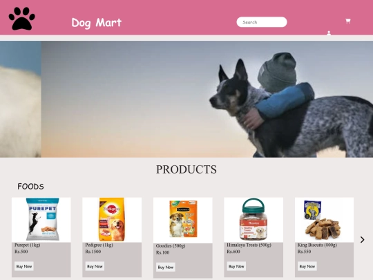 Project1/project1 screenshot