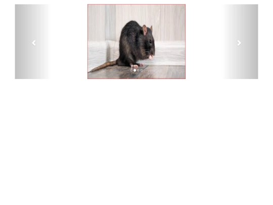 test screenshot