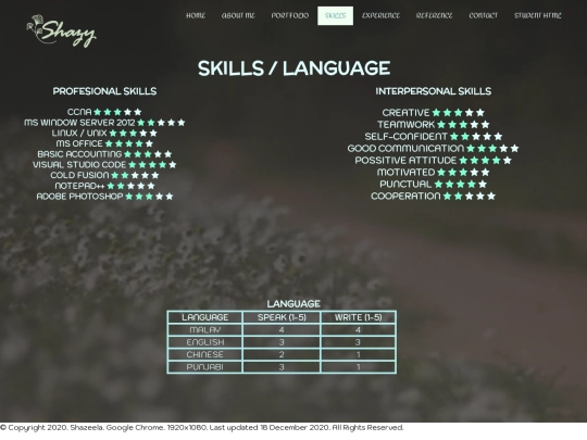 skills screenshot