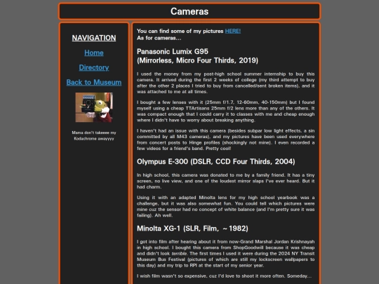 pages/cameras screenshot