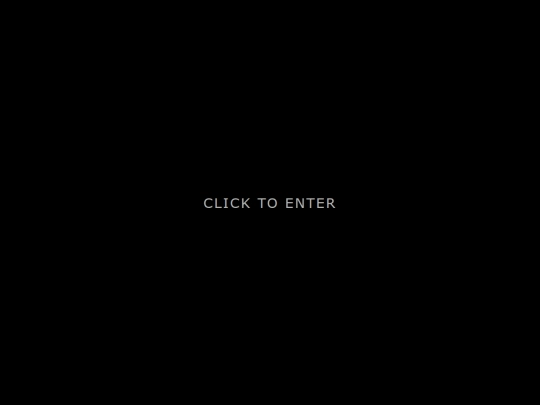portfolio screenshot