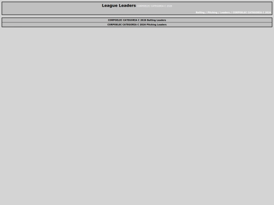 SoftballDomingos/leaderreports screenshot