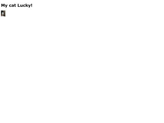 luckycat screenshot