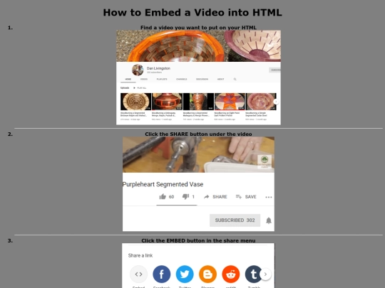 VideoEmbedding screenshot