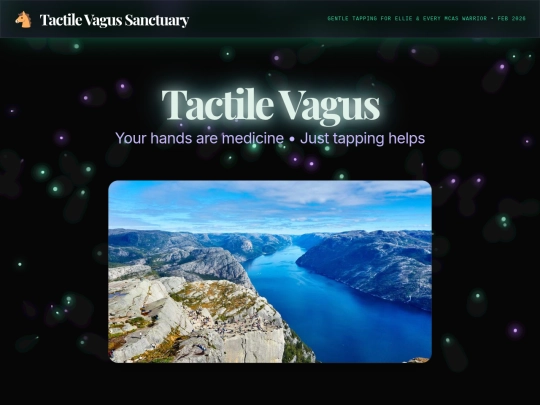 VNSTactile screenshot