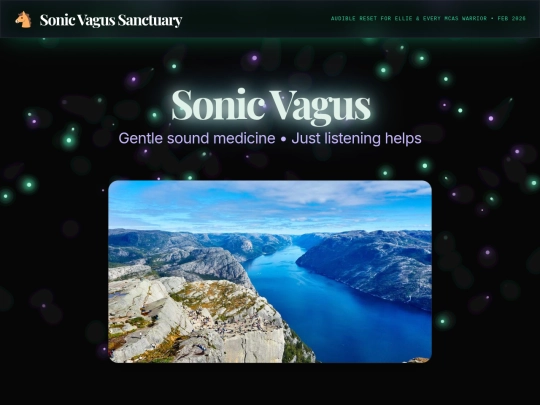 VNSaudio screenshot