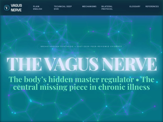 Vagus screenshot