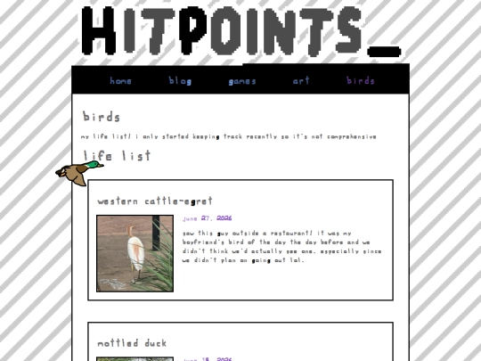 birds screenshot