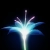 mountainflower avatar
