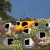 petal-pusher's avatar