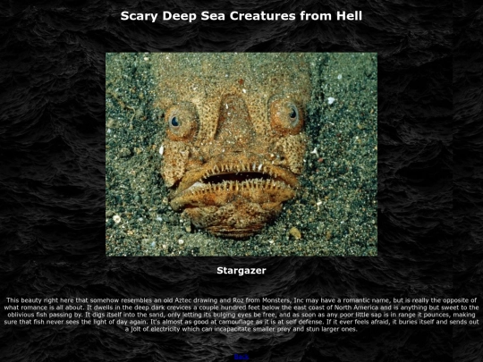 stargazer screenshot