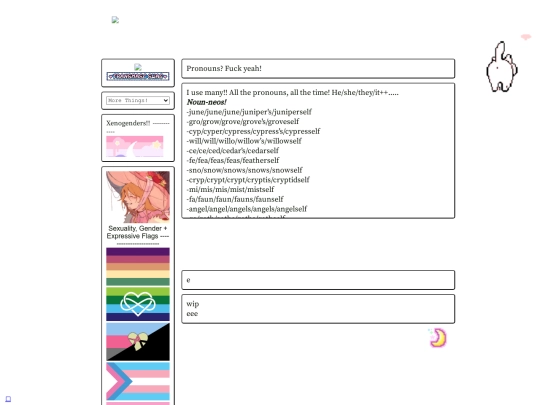 flags screenshot
