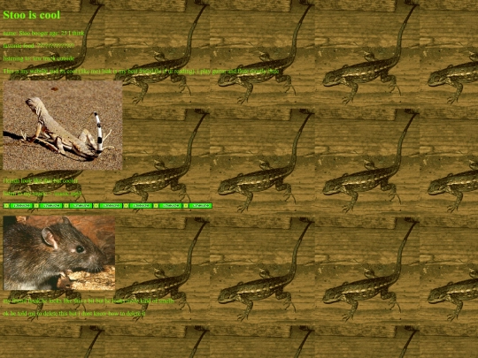 stoo screenshot
