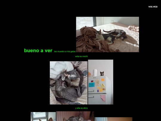 src/gatas screenshot