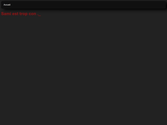 Sami screenshot