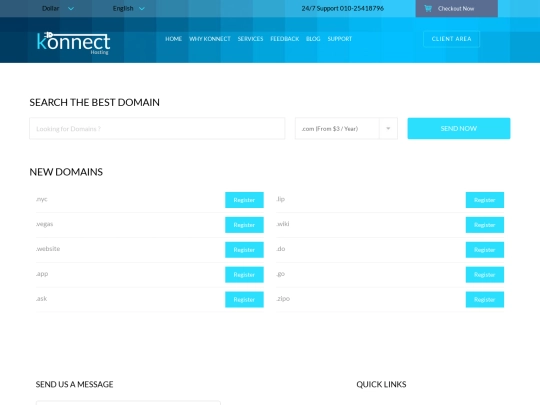 domain screenshot