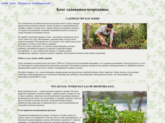 blog screenshot