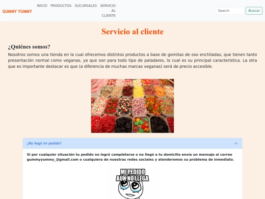 paginas/servicio al cliente screenshot