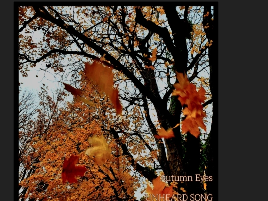 autumneyes screenshot