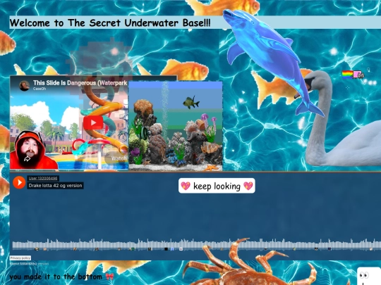 XXLwebsite screenshot