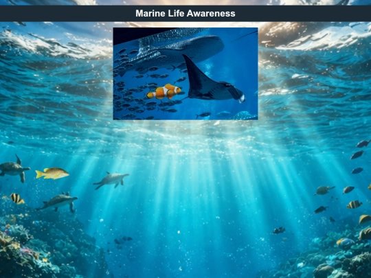 underwater-resources screenshot