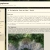 The Nymphaeum avatar