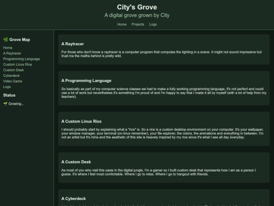 Projects screenshot