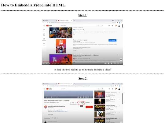 Videoembed screenshot