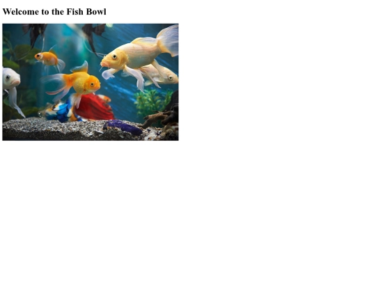 fishpuzzle screenshot