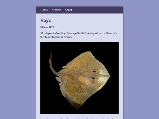 posts/2026-05-30-Rays screenshot