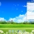 strawberry07.yorniq.xyz avatar