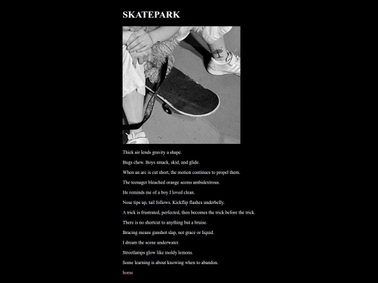 features/skatepark screenshot