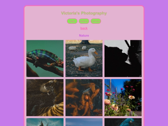 gallery-nature screenshot