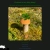 greenteamoon.yorniq.xyz avatar