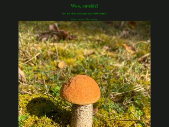 nature screenshot