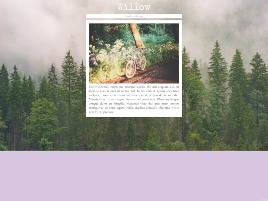 willow screenshot