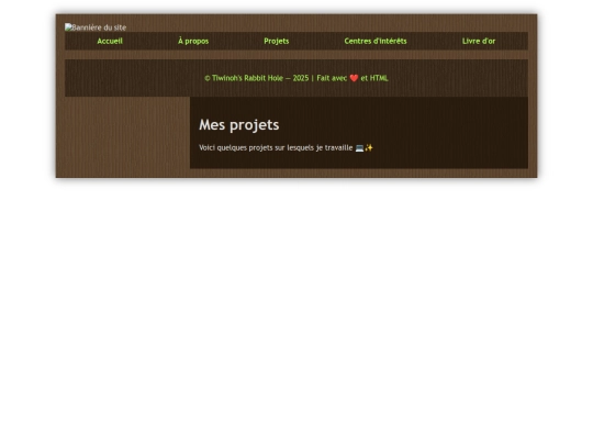 projets screenshot