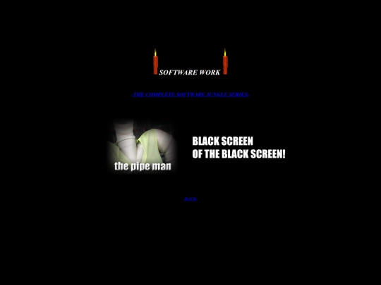 softwarework screenshot