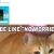 sillyblindbagz.yorniq.xyz avatar