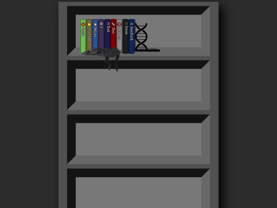 sysshelf screenshot