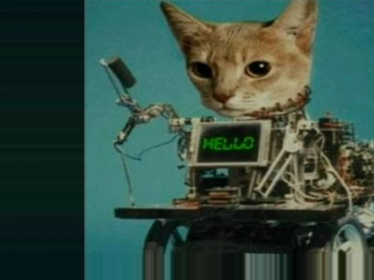 cathello2 screenshot