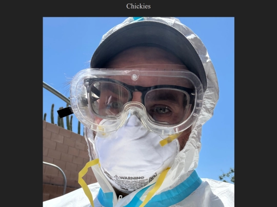 chickies screenshot
