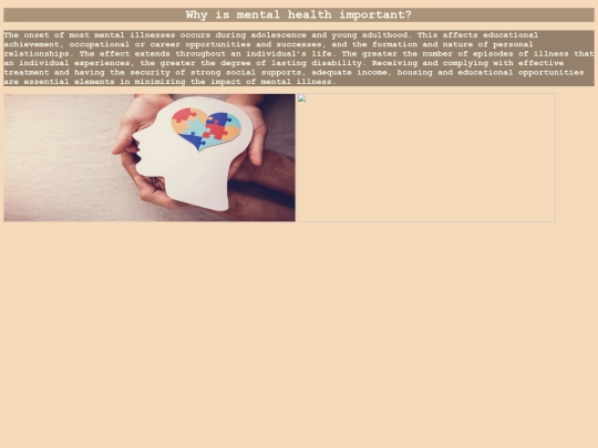 page 2(website) screenshot